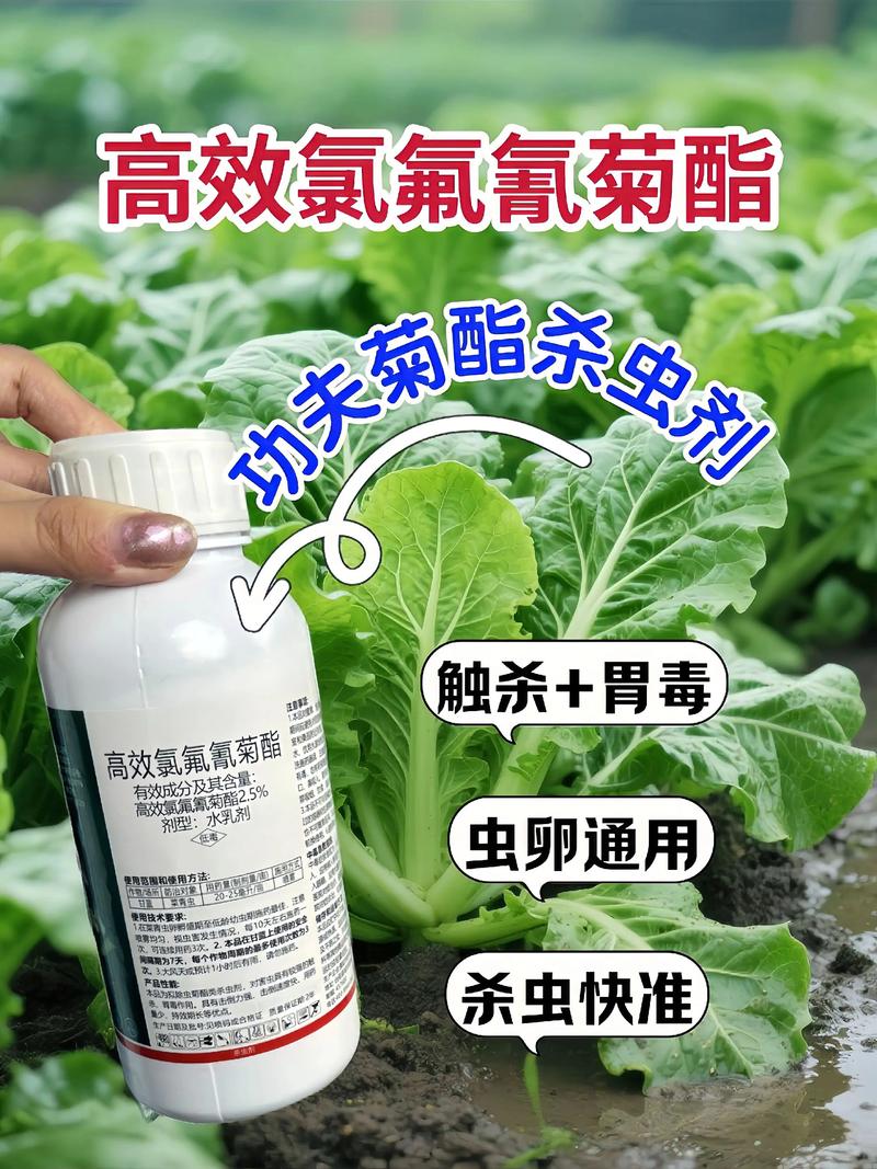 大连代生中心:农药对供卵代生妈妈的危害